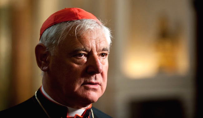 Kardinaal Müller: Christenen zijn niet verplicht om groene agenda van Bergoglio te volgen